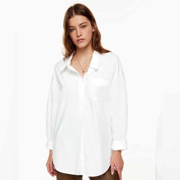 Aritzia Babaton Relaxed poplin shirt in poetic pink (size S) - Picture 4 of 7